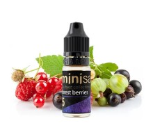Forest Berries жидкость Mini Salt